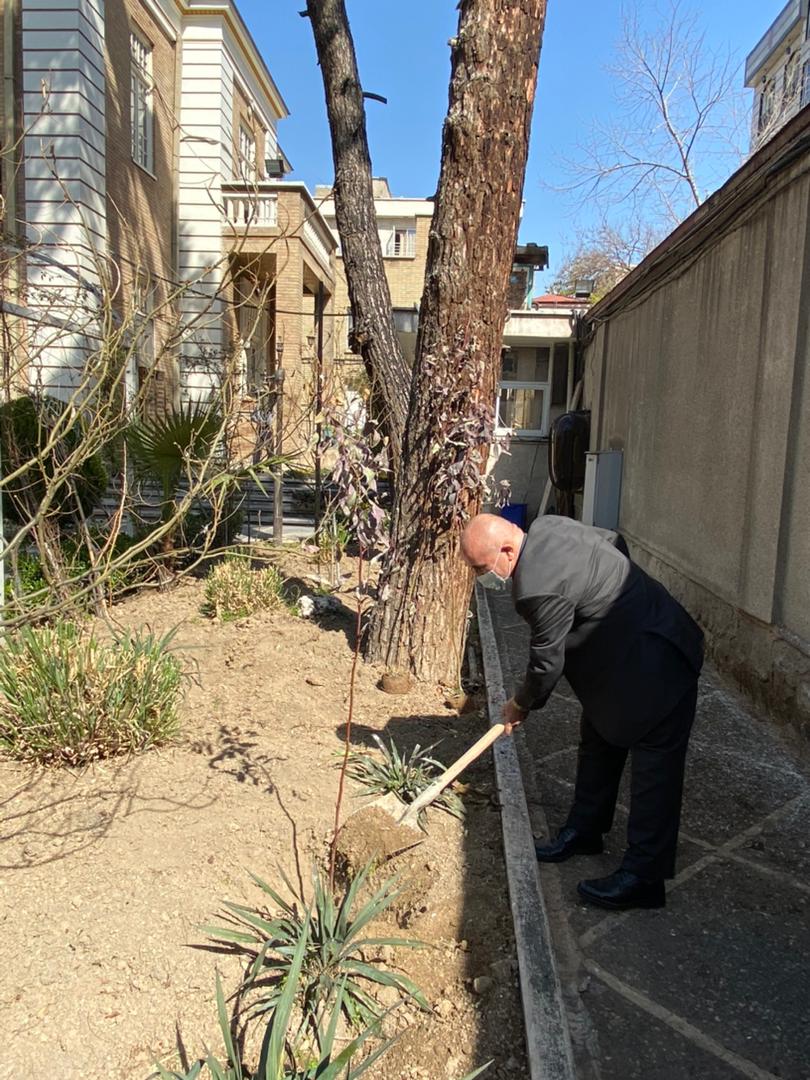 زکیانی درخت کاری