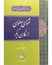 مثنوی معنوی از نگاهی دیگر