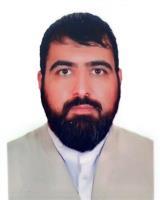 عکس روح الله فروغی